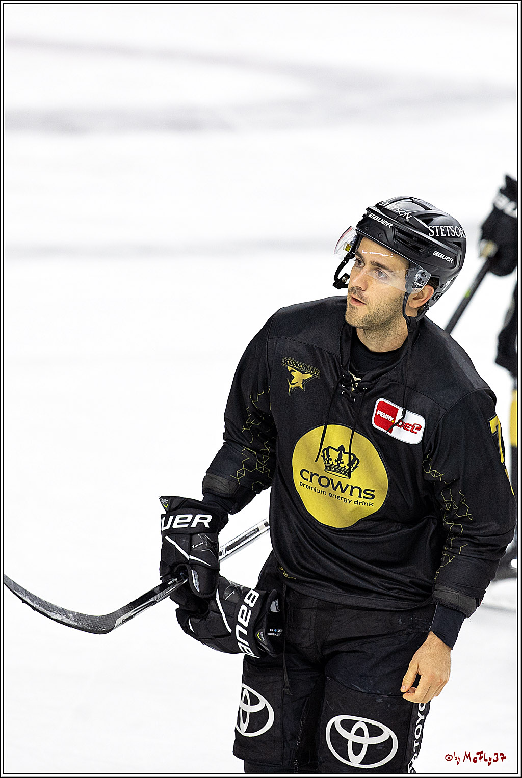 PENNY DEL;  Kölner Haie - ERC Ingolstadt; Köln, 25.11.2022